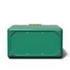 Gin Trunk / Parisian Green