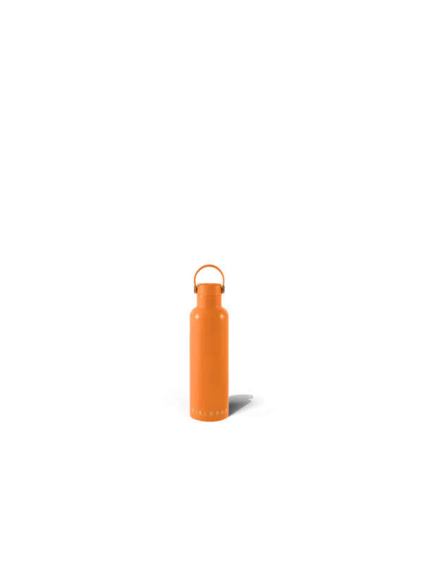 Field Bottle / Orchard Orange