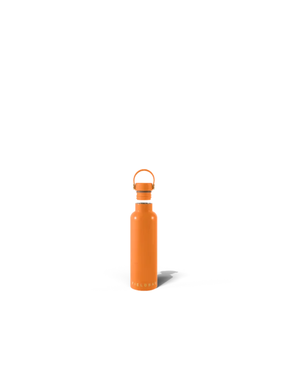 Field Bottle / Orchard Orange